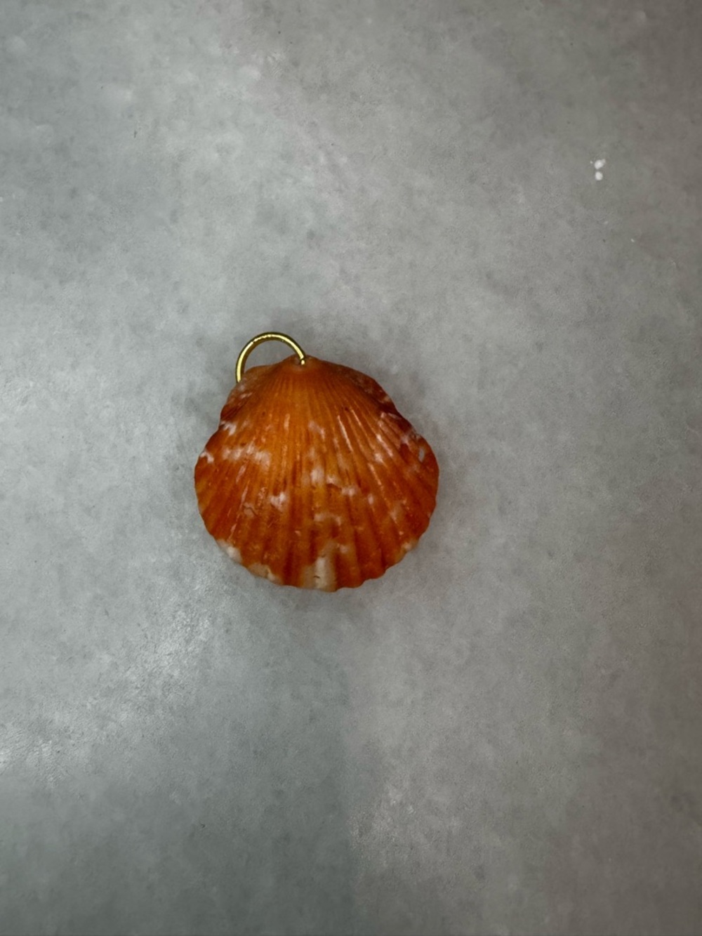 Orange Scallop Shell Pendant with Gold Jump Ring